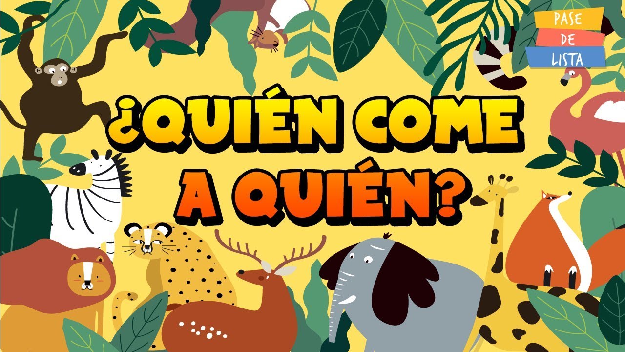 🙊QU&Eacute; ES LA CADENA ALIMENTICIA y C&Oacute;MO FUNCIONA🦄 | Explicaci&oacute;n SENCILLA 🤓/VideoS EducativoS