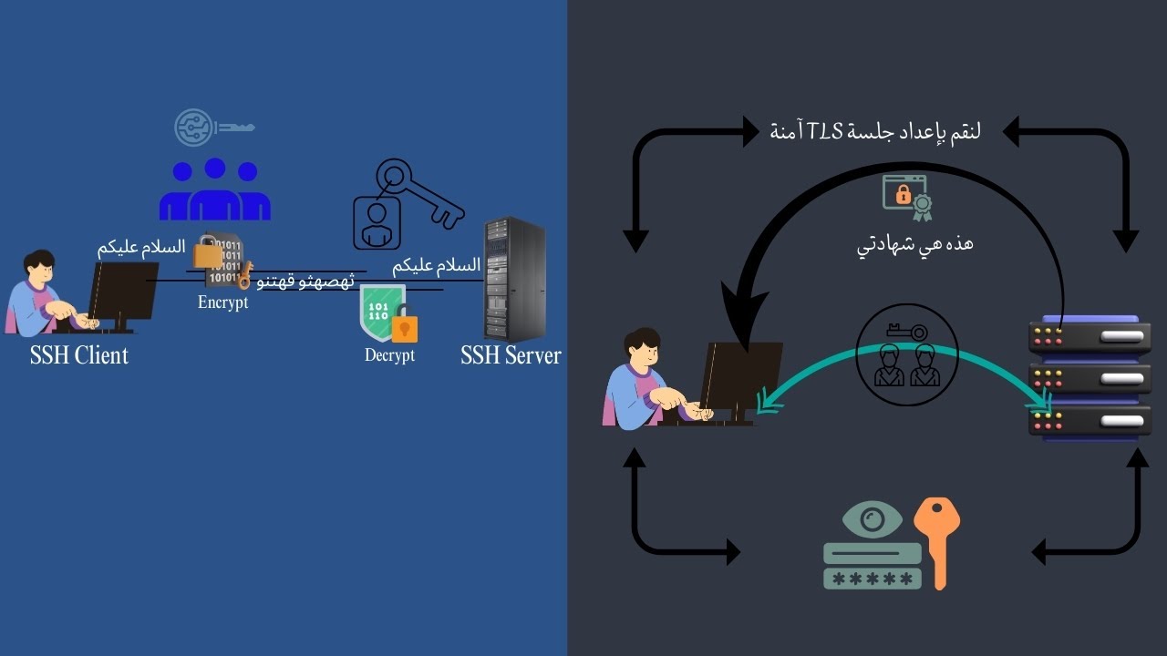 بروتوكولات SSL/TLS وSSH  وTelnet | الفرق بين الأمان والتشفير في الشبكات