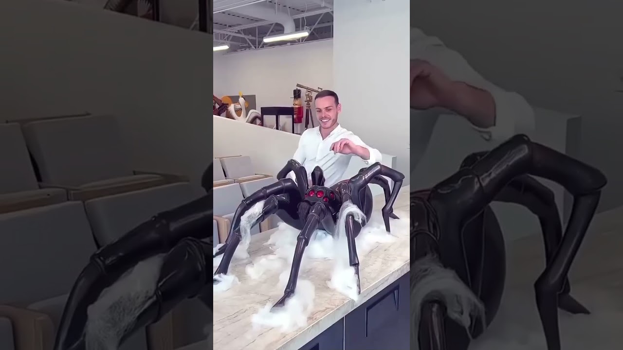 😱 জালেই জীবন! | Spider Facts in Bangla,,Rs facts bd