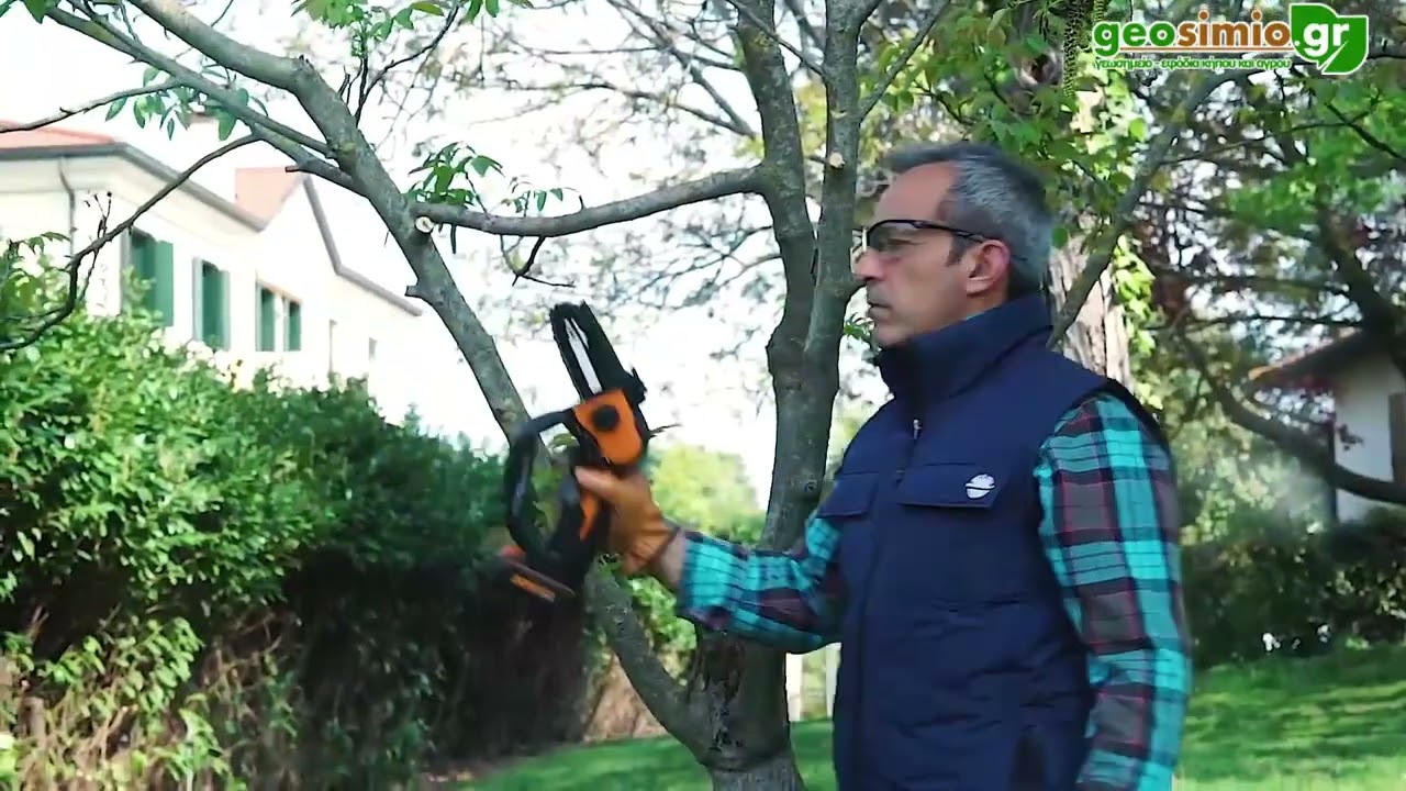 αλυσοπρίονο κλαδέματος μπαταρίας Li 20V WG324E- 25cm- WORX