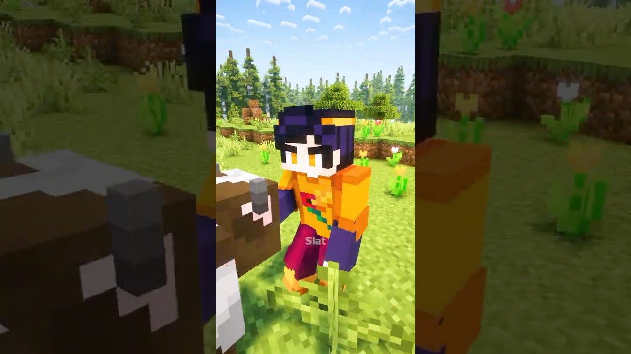 Minecraft The Boys Create a Server 💀