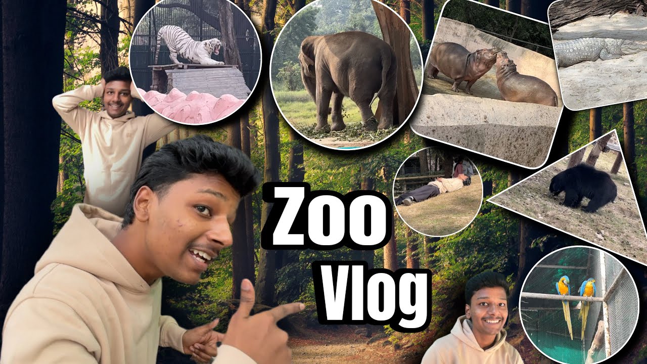 Zoo vlog part -2  | national zoological park | fun 🤩 