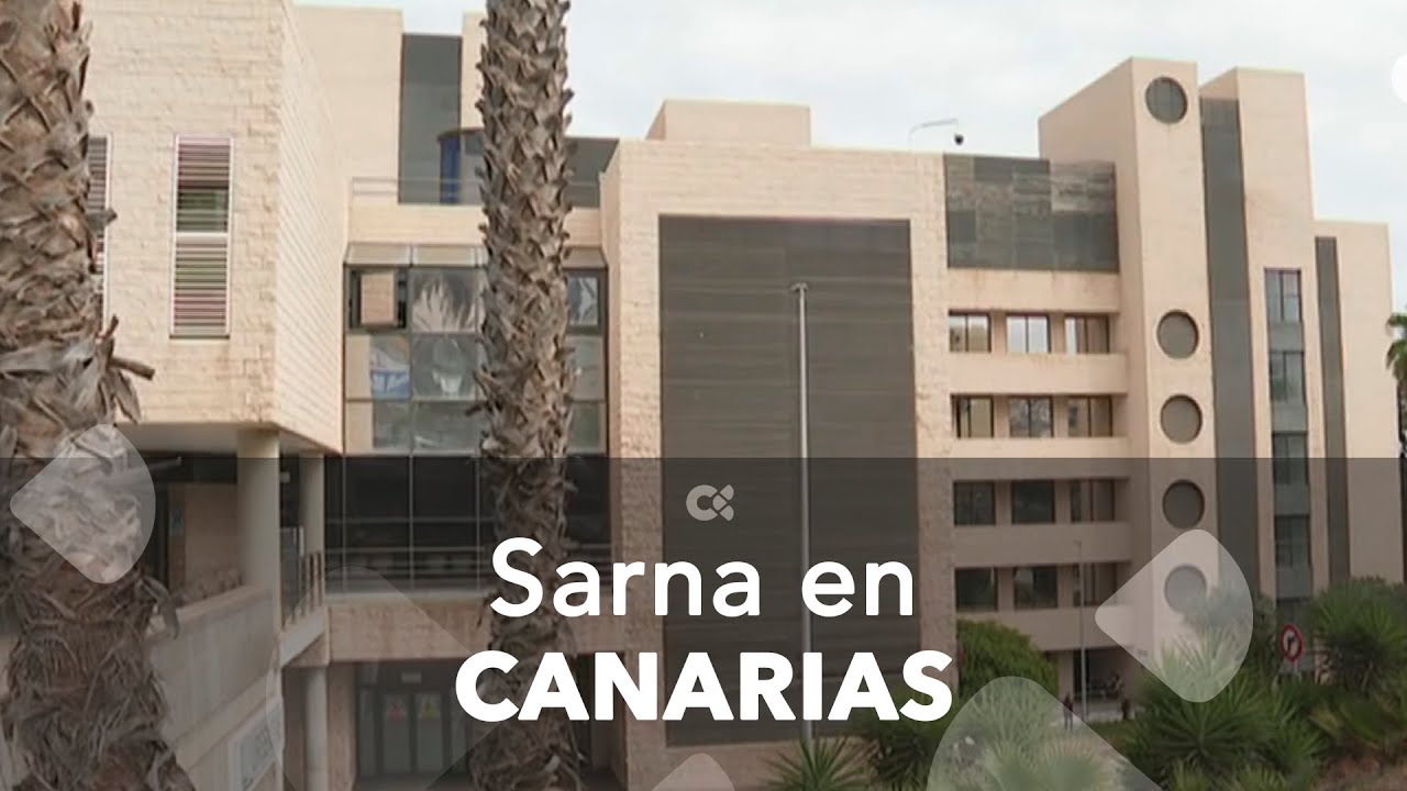Aumentan los casos de sarna en Canarias en los últimos cinco años