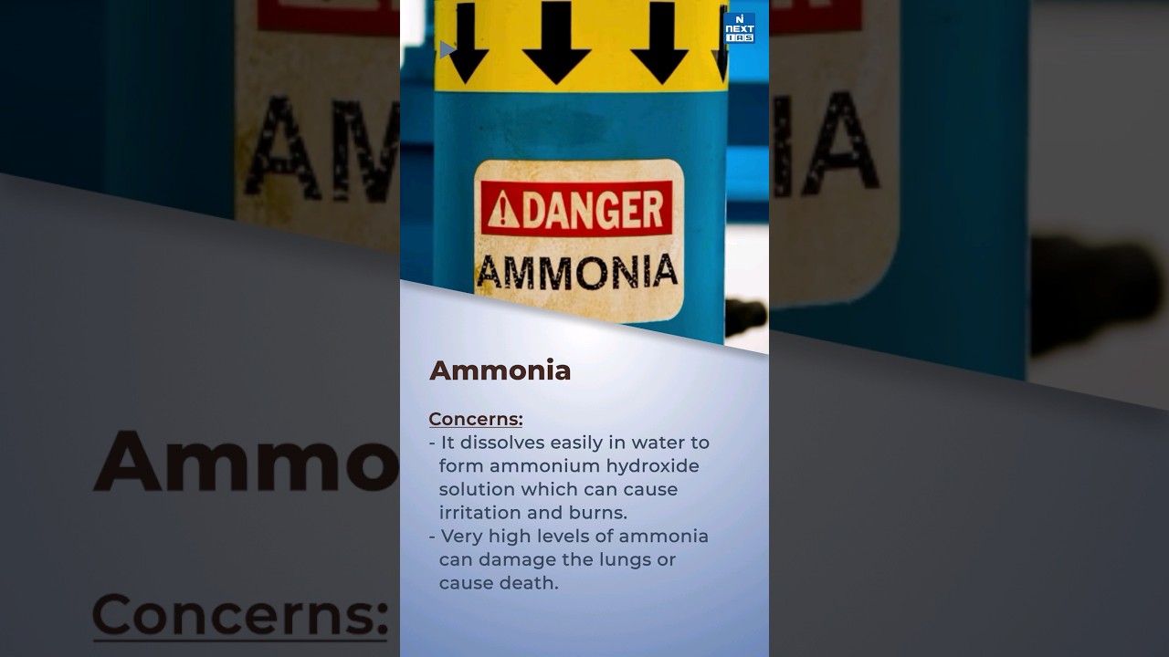 Ammonia Gas Leak in Ennore, Tamil Nadu | UPSC Current Affairs