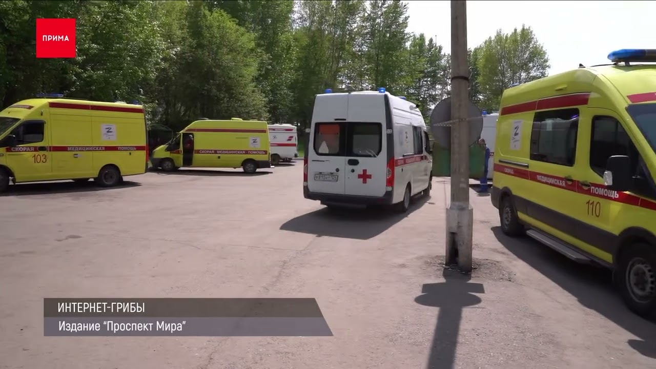 В Красноярске мужчина выкинул из окна 5 кошек