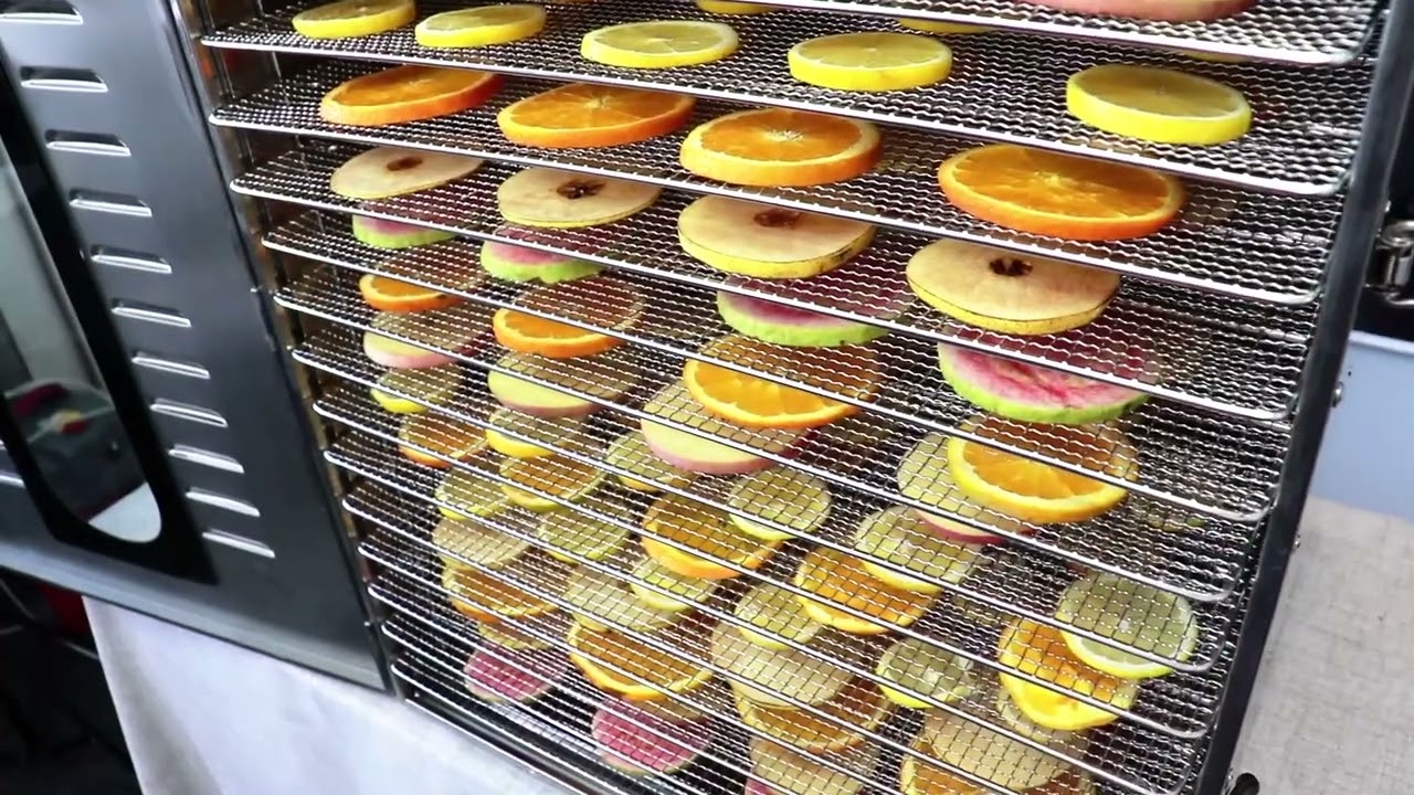Horno Deshidratador Alimentos 16 Bandejas Acero Tecnodeliv.cl