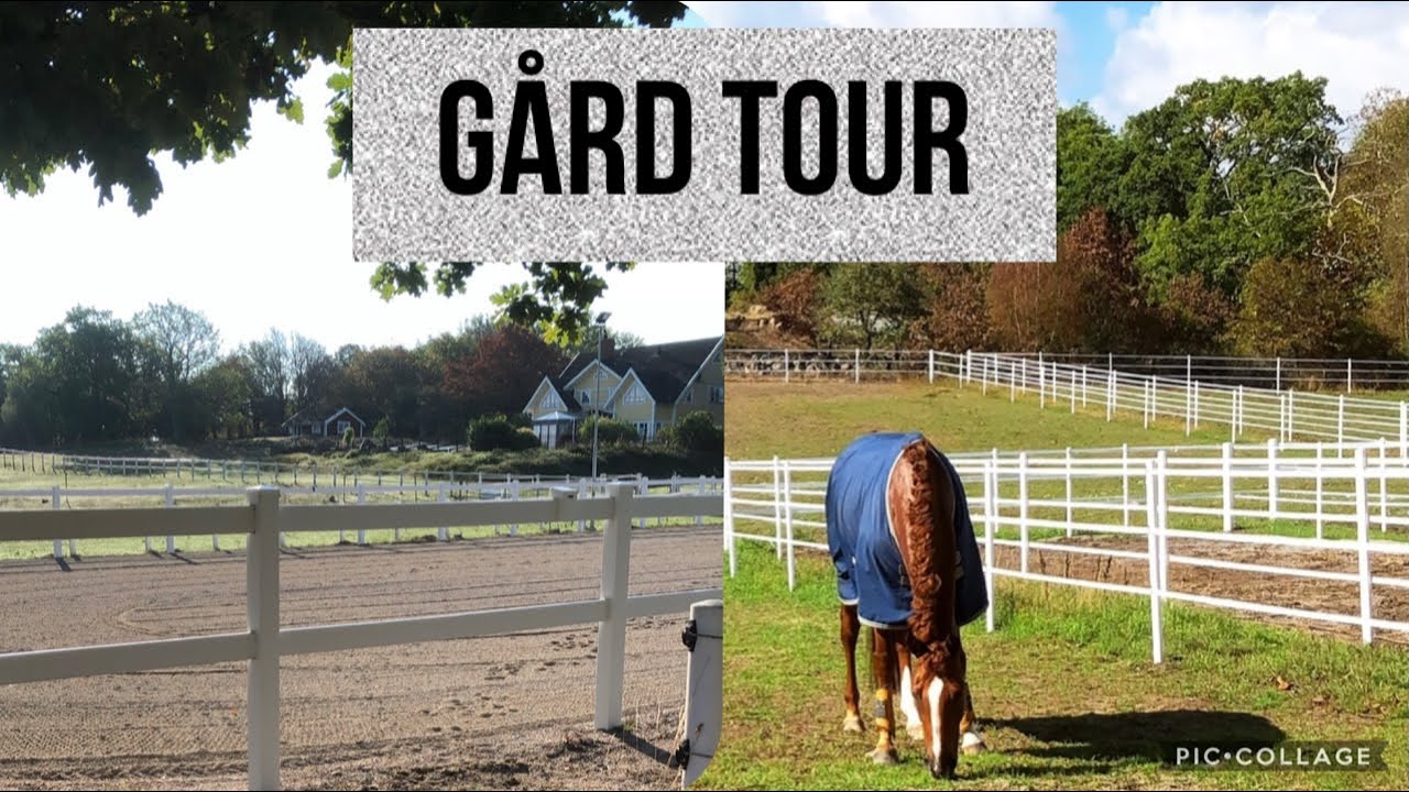 GÅRDS TOUR- Visar hela gården, ridhuset, paddocken, stallet mm.