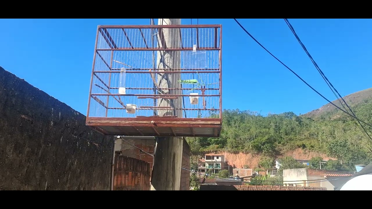 Banho de Sol nos Ticos #Ticotico