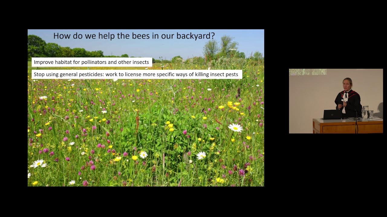 Bees and biodiversity: finding hope in the Anthropocene (Prof. Geraldine Wright)