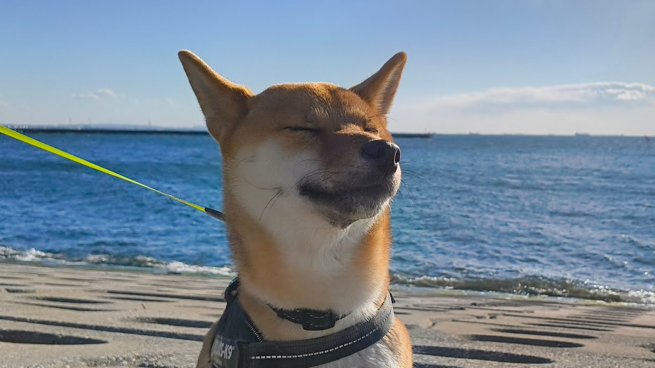 罅 