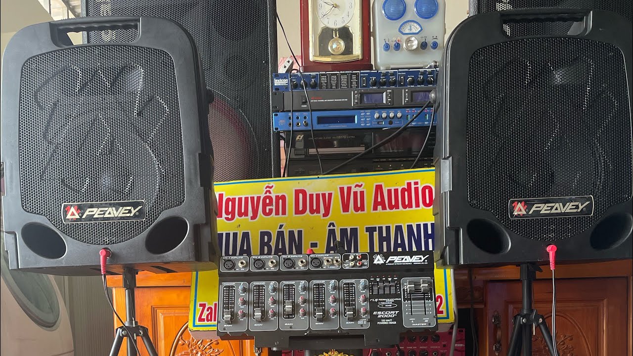 bộ Loa combo Peavay ESCORT 2000 chất &acirc;m qu&aacute; hay trưng b&agrave;i đẹp cực chất !loa bass 25cm c&oacute; vali lu&ocirc;n