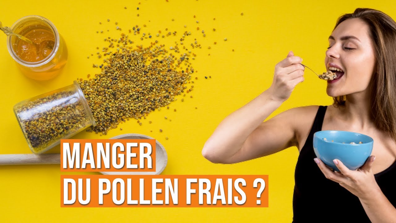 Pourquoi consommer du pollen frais ? | Un aliment riche en prot&eacute;ines v&eacute;g&eacute;tales/ferments lactiques