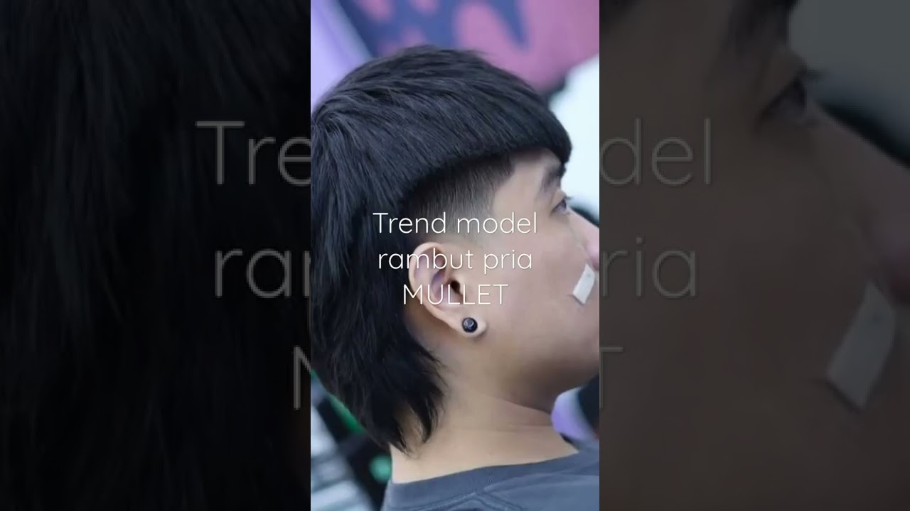 Model Rambut Pria, MULLET
