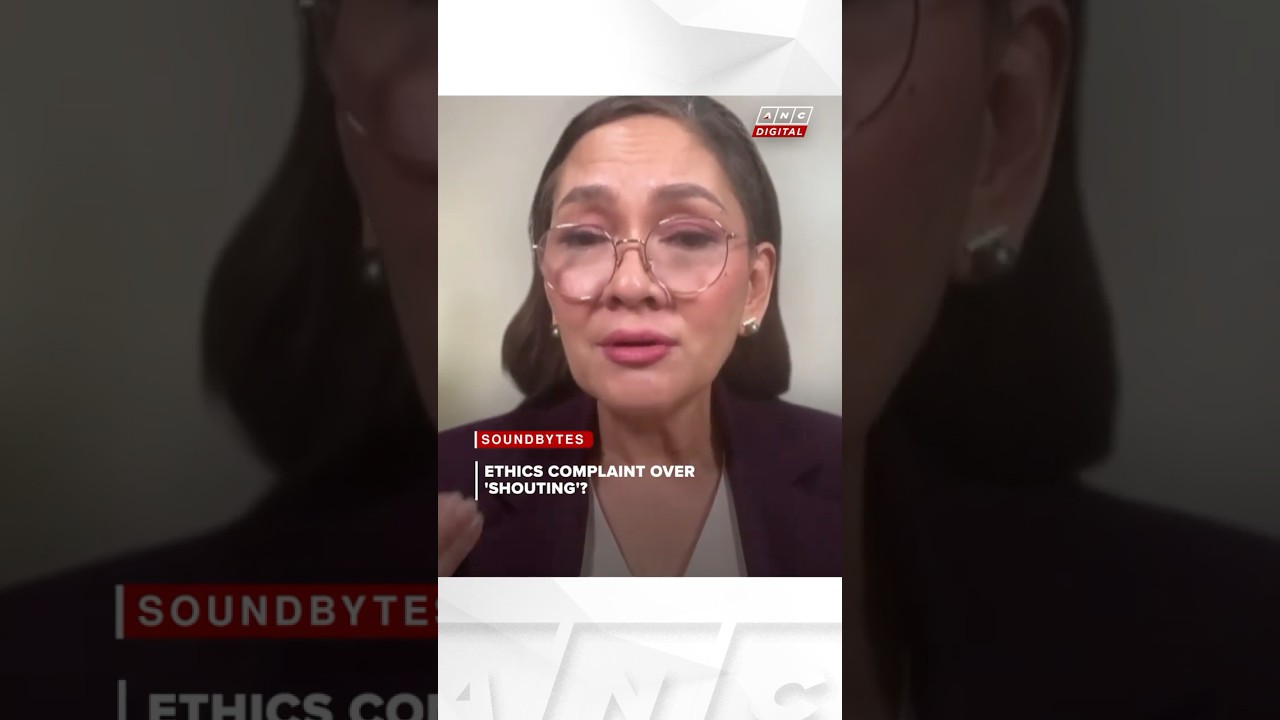 Hontiveros: Tense exchange between Padilla, Pangilinan 'regrettable' | ANC