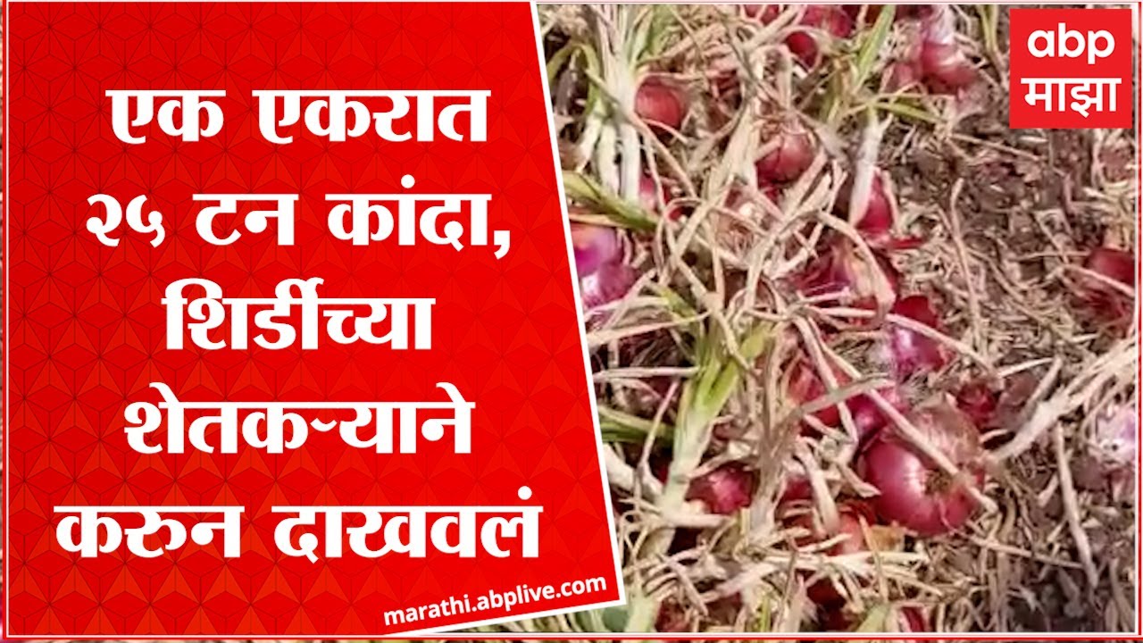 7/12 Sheti Shirdi :   नियोजनबद्ध शेतीचा शेतकऱ्यांना फायदा, मिळाला 25 टन कांदा : ABP Majha