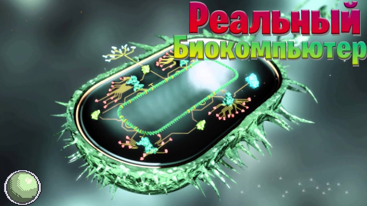 🧪🧪🧪 Реальный биокомпьютер.