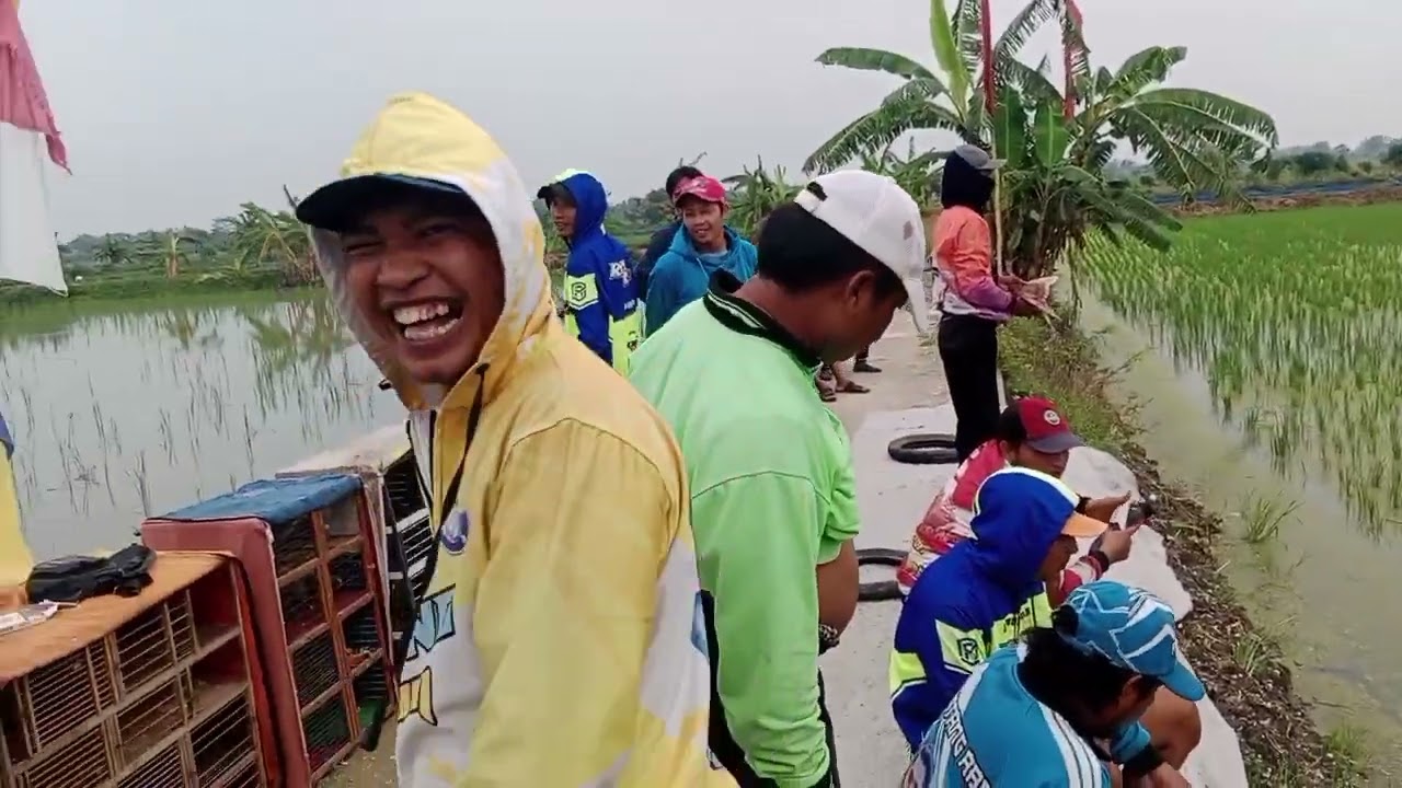 Lomba hari minggu lp. Sinan 1000M.juara baru andalan