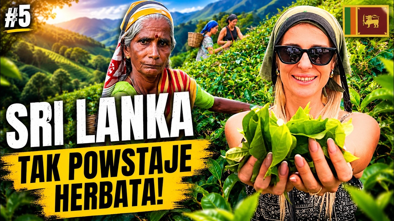 ZBIERALIŚMY HERBATĘ na Sri Lance! Ella, Little Adam’s Peak i Nine Arch Bridge, Skarb Cejlonu! 🇱🇰