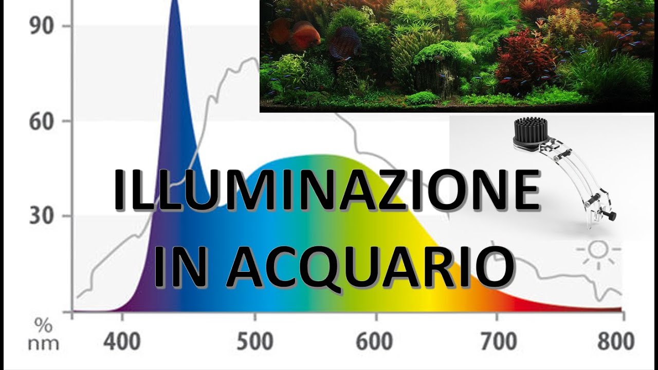 Come funziona la luce in acquario? Quale scegliere? Plafoniera LED o NEON?