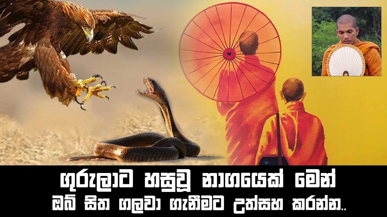 බැඳීම ඇලීමක් නැතිව තබාගත හැකි ද? | Ven.Kirulapana Dhammawijaya Thero