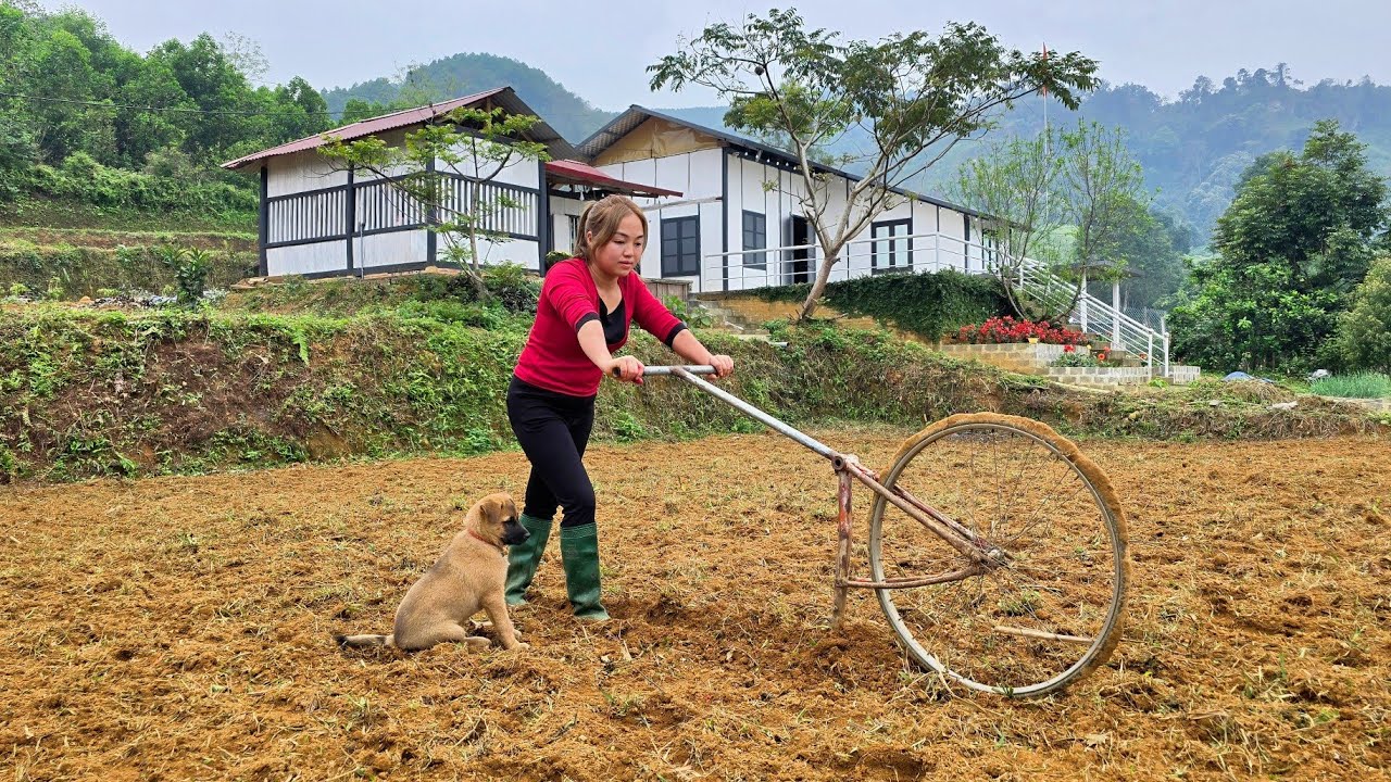 Caring for My Sick Puppy & Planting Corn in My Vast Farm Garden | Peaceful Country Life