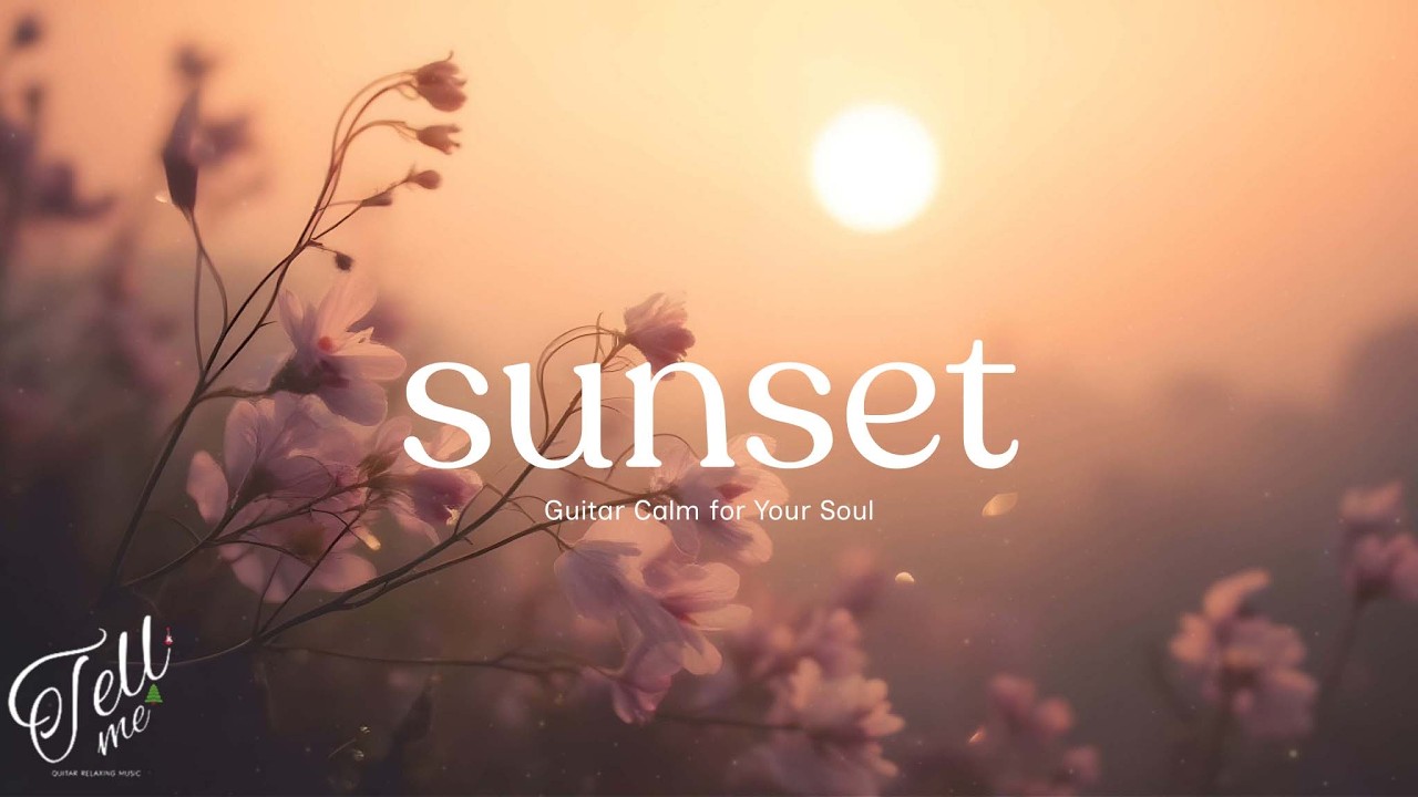 Sunset Guitar Calm 🌸🌅 | Relaxing Guitar Music for Stress Relief & Sleep