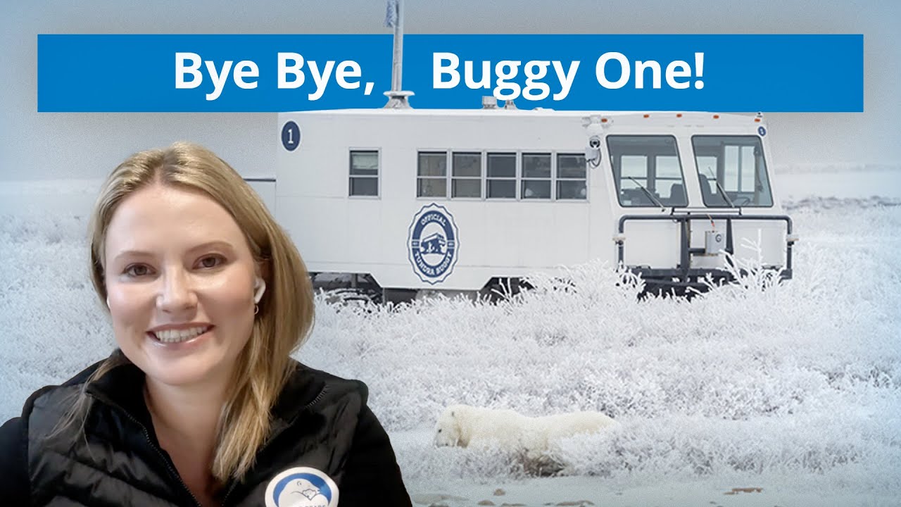 Прощай, Buggy One | Tundra Connections 2025