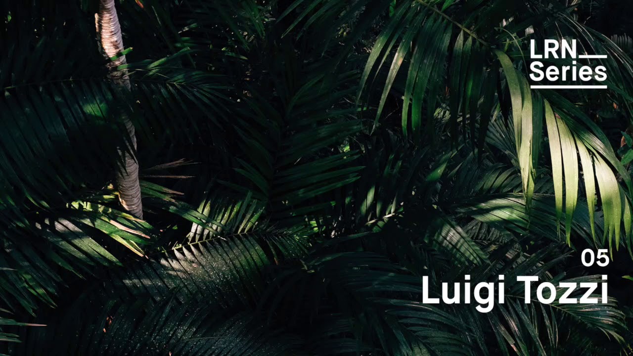 Luigi Tozzi - LRN Series #05
