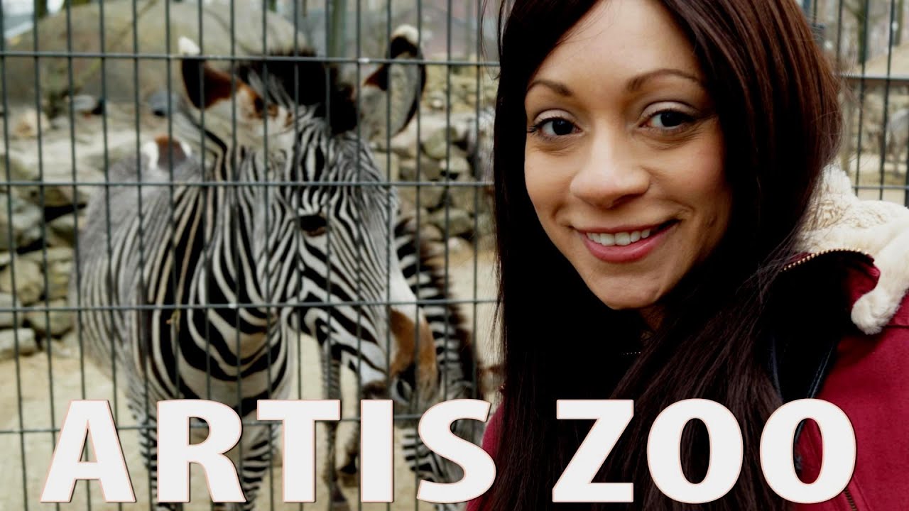 Artis Zoo Amsterdam