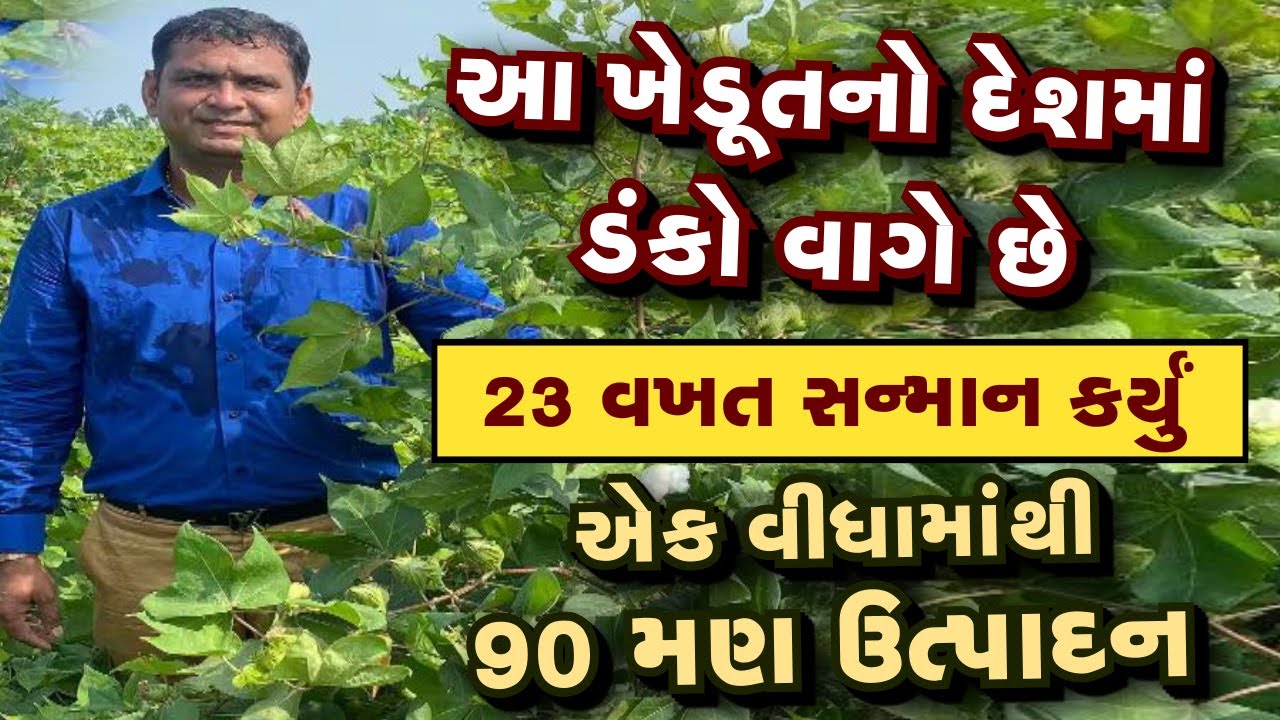 વીઘે 90 મણ કપાસનું ઉત્પાદન l ર૩ વખત ખેડૂતનું સન્માન l હજારો ખેડૂતોને રાહ બતાવી l16 લાખ ખેડૂતનું ગૌરવ