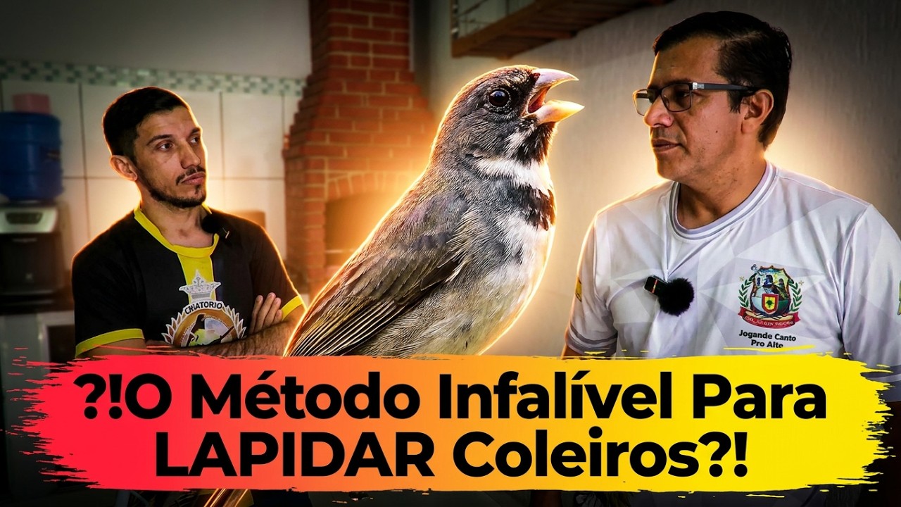 Encarte Tui Tui Alcantâra “Lapidação
