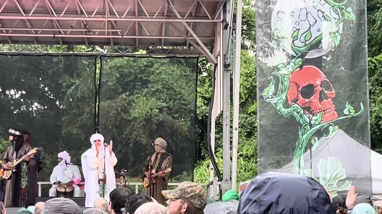 Tinariwen 2
