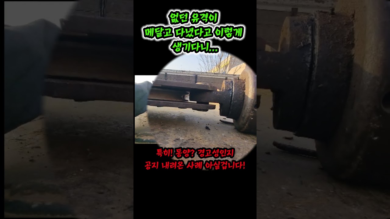 고합니다! 카크레인 다들어봐! 오래 살라면 ㅋ ㅋ