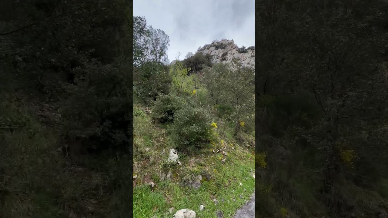 #SendaDelOso #ViaVerde #Asturias #CyclingSpain #BikeAdventure #NatureLovers #OutdoorLife #Asturias