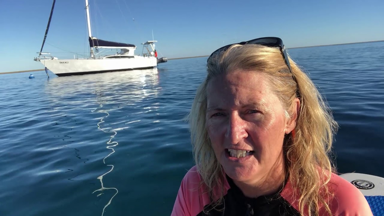 Episode 6 - Fitzroy Reef to Wistari Reef