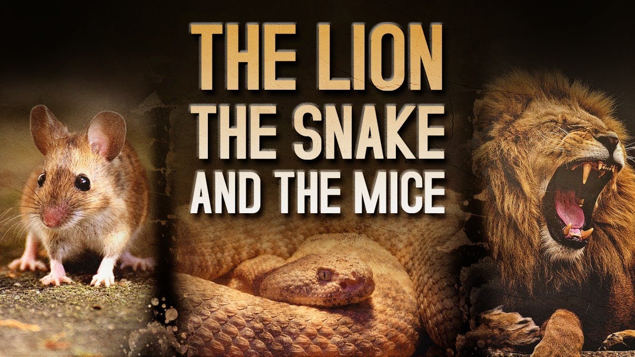Story Of The Lion 🦁, The Snake 🐍 & The Mice 🐁 🐁 || The Reality Of The Dunya
