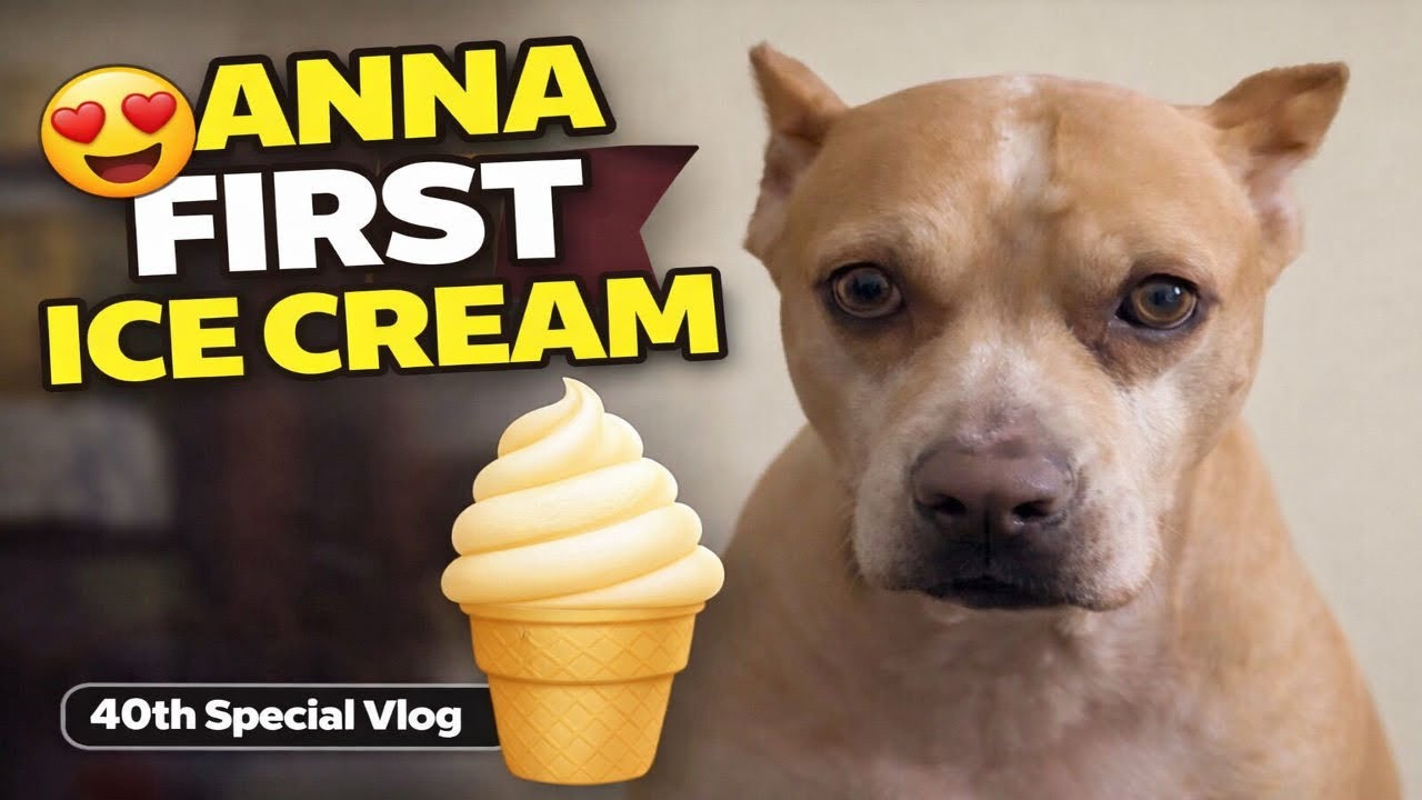 Anna Tried Ice Cream For The First Time 🫶 | From 70 Subs To 70 Lakh Dream | VLOG 40/75
