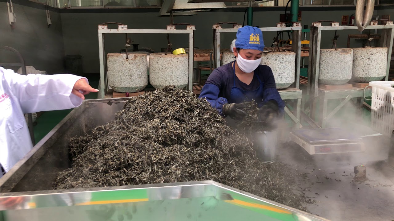 Puerh tea cake pressing - Puer tea korongok pr&eacute;sel&eacute;se