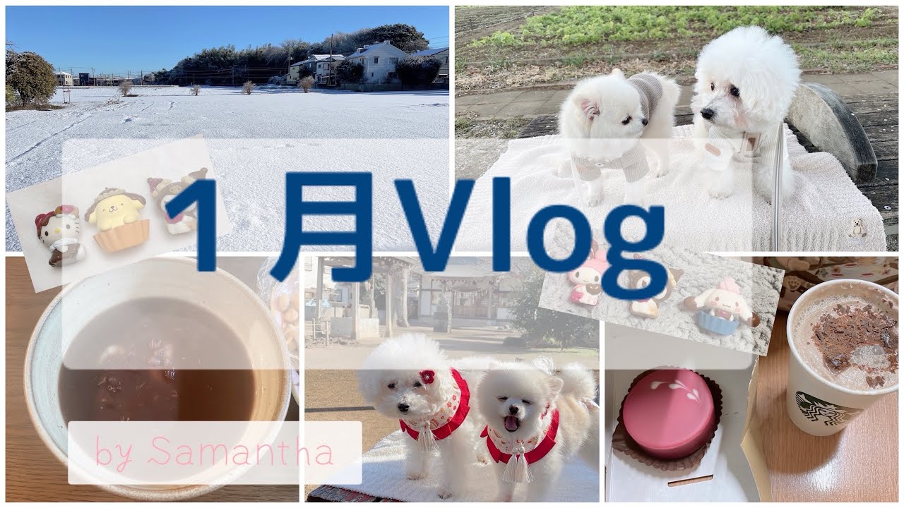 １月Vlog🎀犬２匹と実家暮らしの日常🎀