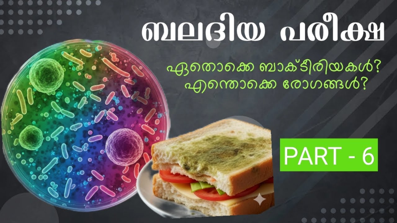 Baladiya Exam Part-6|ബലദിയ പരീക്ഷ Part-6|ഏതൊക്കെ ബാക്ടീരിയകൾ? എന്തൊക്കെ രോഗങ്ങൾ?