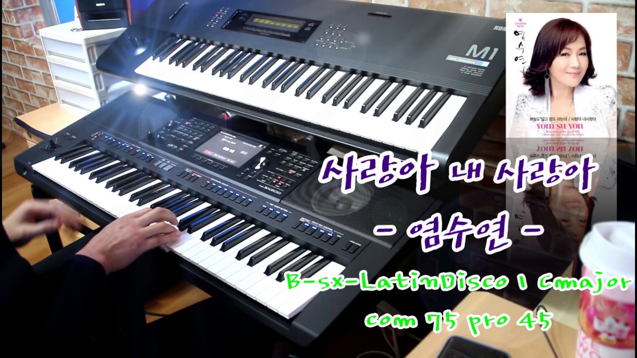 사랑아 내 사랑아 | 염수연