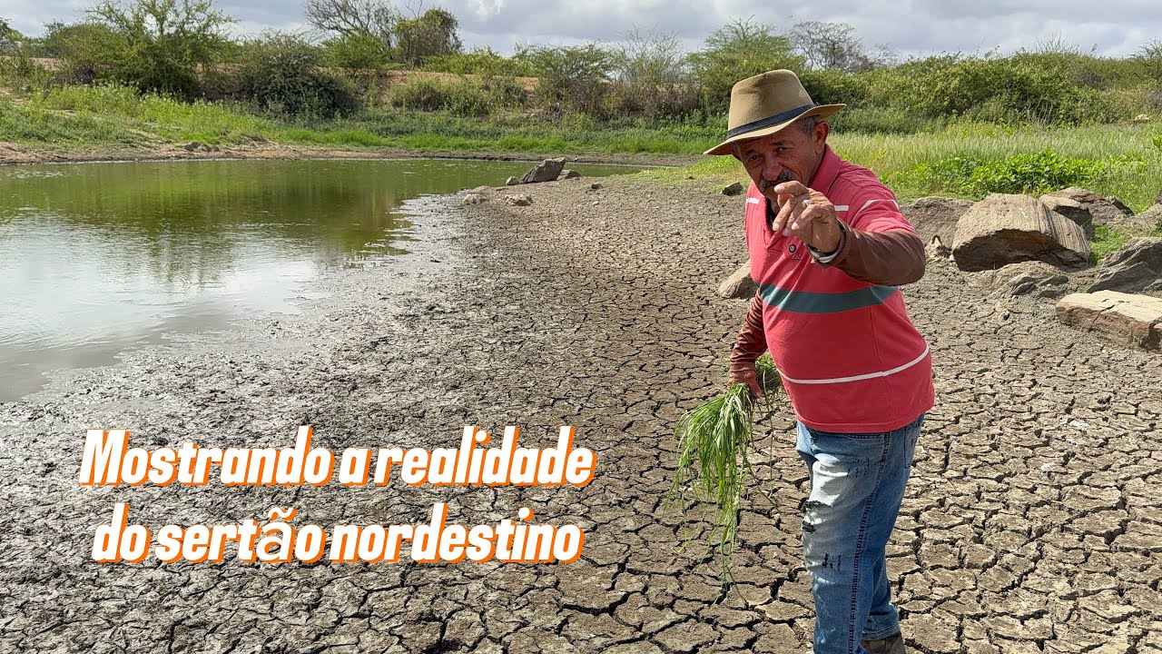 A realidade do sertão nordestino 
