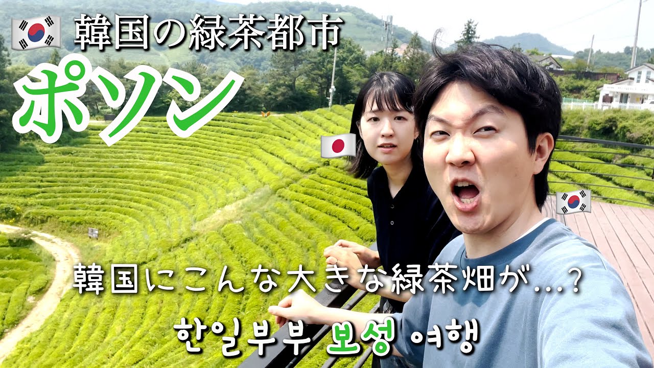 [日韓夫婦/韓国生活🇰🇷] 韓国で緑茶畑が一番有名なポソンへ行ってきました🌱🍵