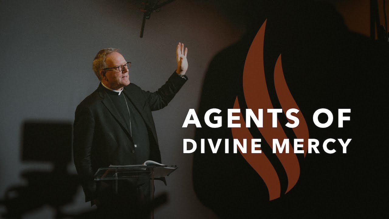 Agents of Divine Mercy - Bishop Barron's Sunday Sermon