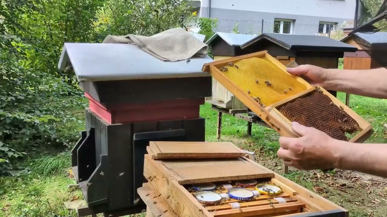 #23 Monitoring warrozy - dolny czy górny wylotek?