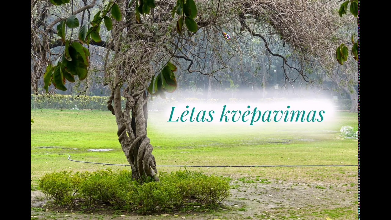 Atsipalaidavimo užsiėmimas 