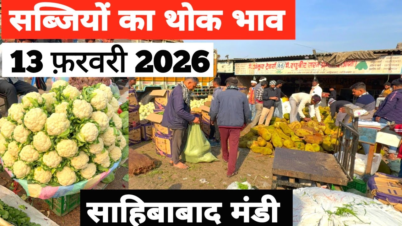 13 February 2026 🥬🫑 🥦 सब्जियों का भाव साहिबाबाद मंडी | today vegitables rates #mandirates 