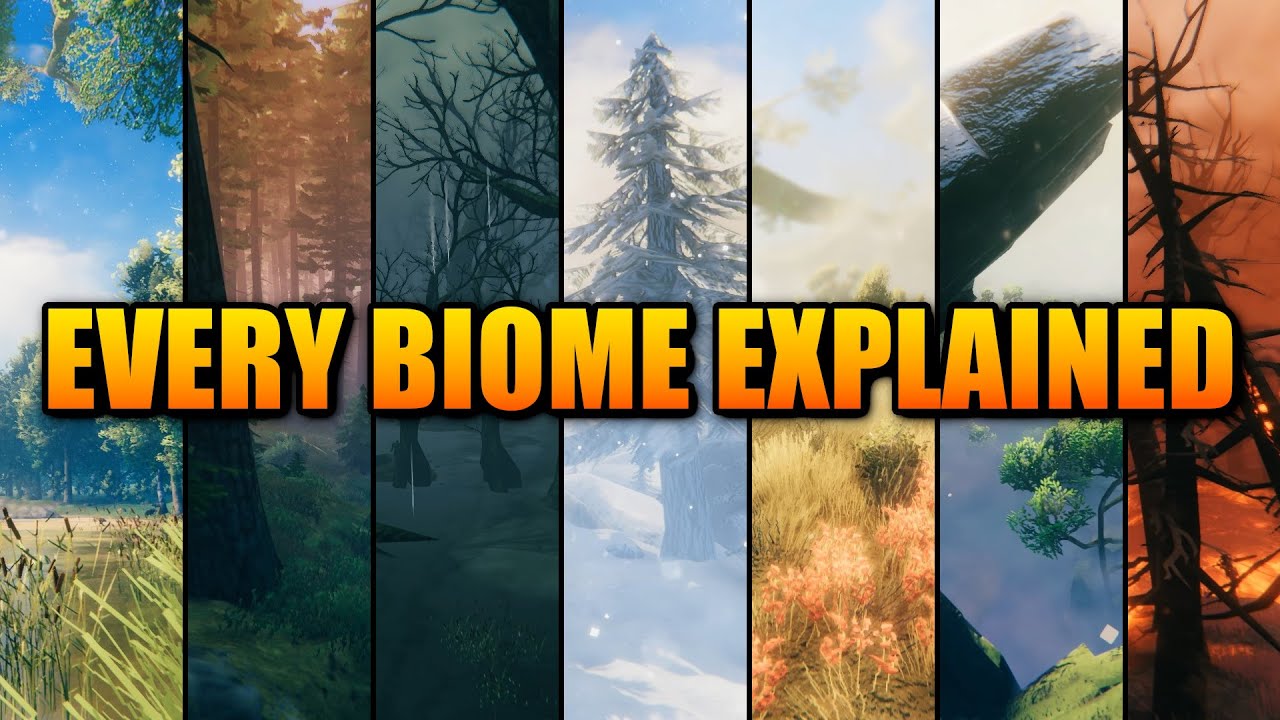 Every Valheim Biome Explained