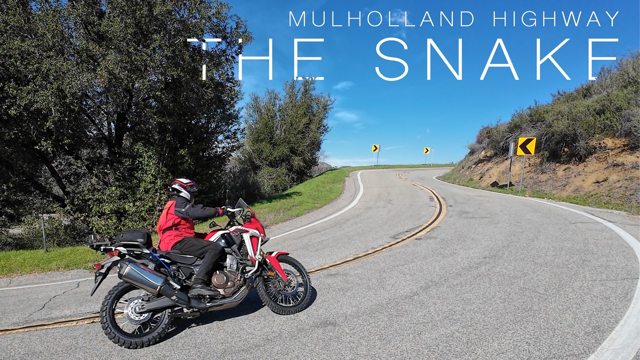 Mulholland Highway: Down The Snake
