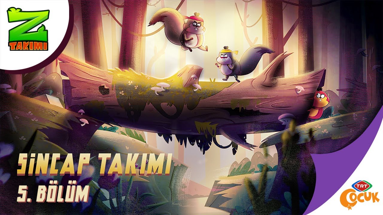 Z Takımı | Sincap Takımı